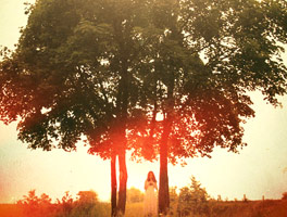 ddos网页在线攻击