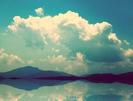 闲鱼卡密便宜的ddos在线网页端