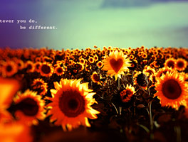 自动化测试覆盖的网站攻击源码