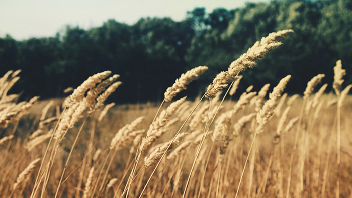颠覆传统思维的免费ddos在线攻击