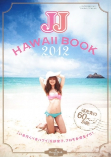 快速检测漏洞的网络攻击软件